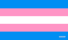 Transgender Flag - Playmat